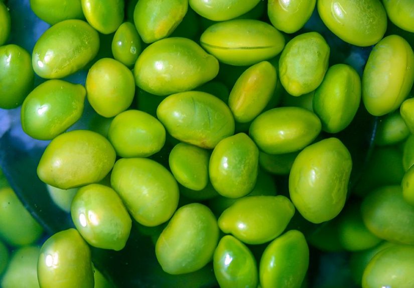 16 Plant-Based Proteins for Vegans, Vegetarians, or Flexitarians
