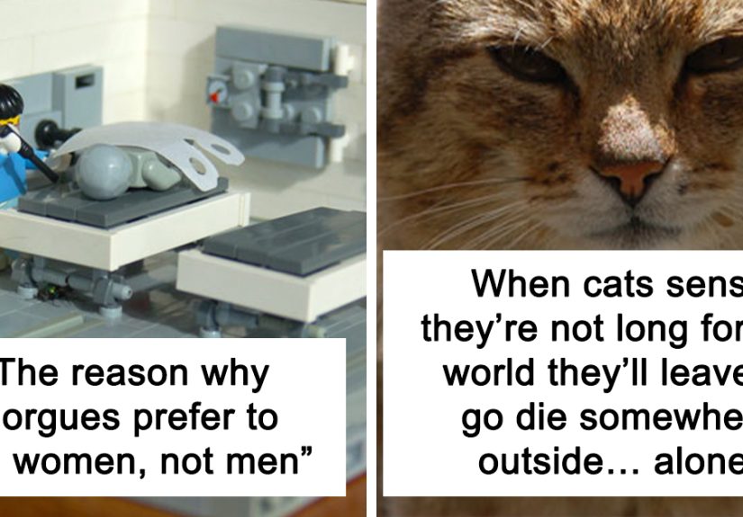 30 Facts That Might Make You Think “Well, That’s Enough Internet For One Day”, As Shared By Folks In This Online Group