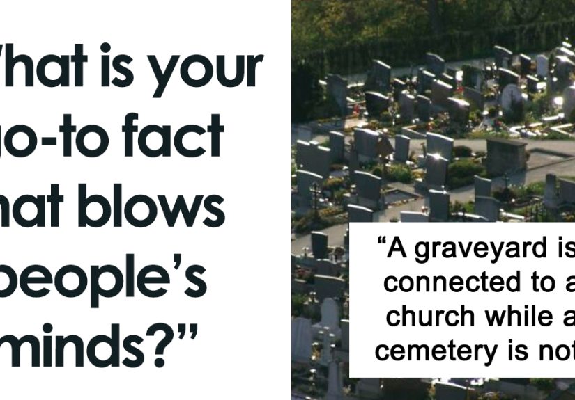 35 Random Jaw-Dropping Facts, As Shared In This Online Group