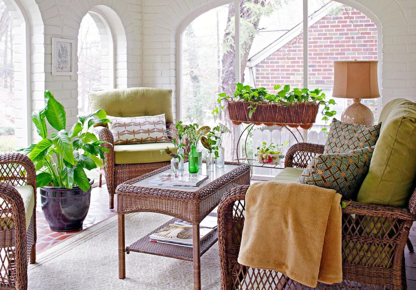 5 Essential Tips for Bringing Plants Inside for the Winter