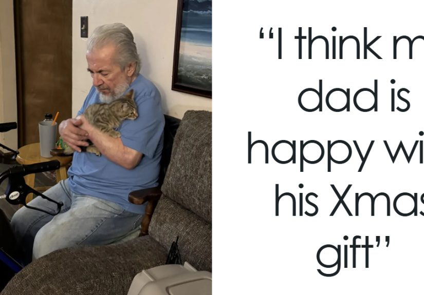 50 Holiday Stories That Are Almost Too Wholesome To Handle (New Pics)