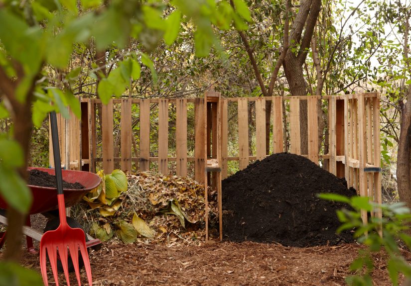 7 Smart Strategies for Picking a Compost Bin Location That Actually Works for You