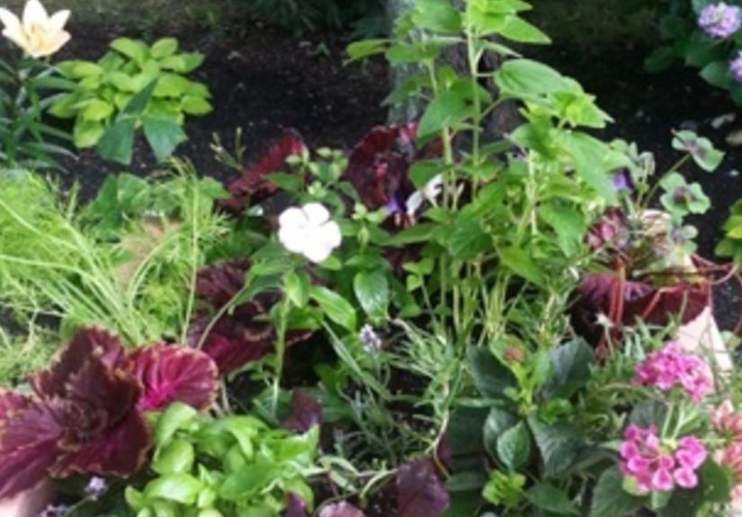 A Vegetable and Herb Planter Pretty Enough for the Front Door!
