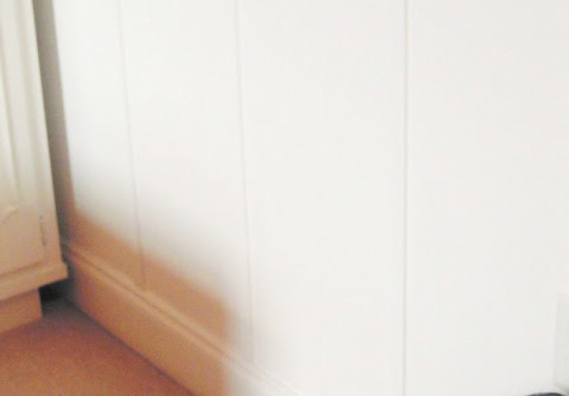 Affordable Decorative Wall Panel