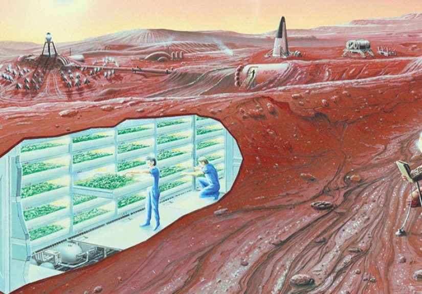 Almost Everything We Need to Live on Mars Is Already There