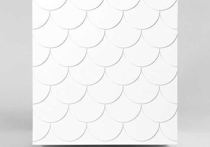 Front Big Fish Pattern