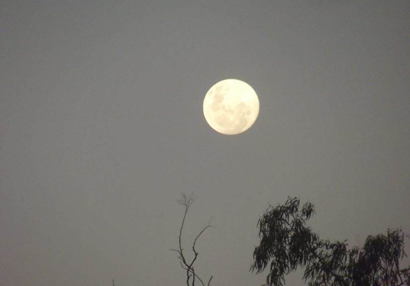 Hey Pandas Show Me Your Favourite Photography Pictures!