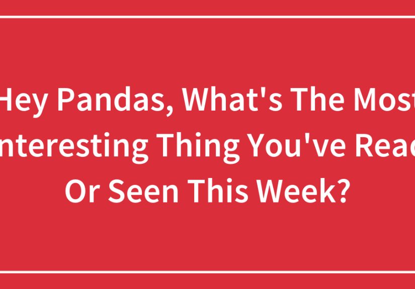 Hey Pandas, What’s The Most Interesting Thing You’ve Read Or Seen This Week?