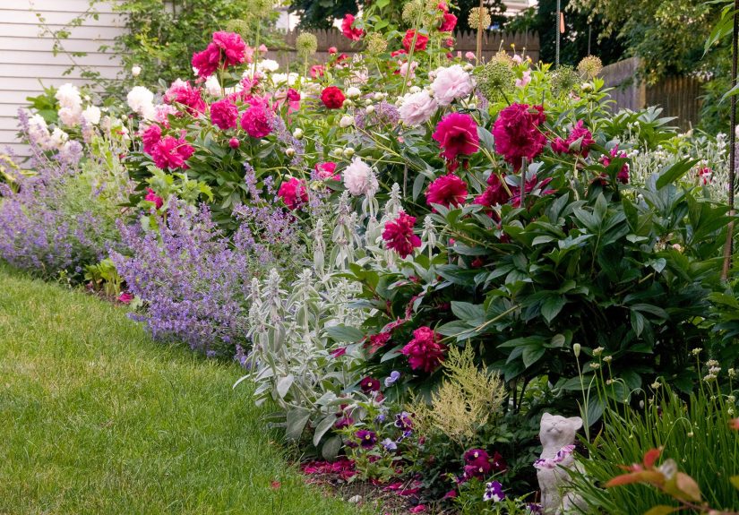 How to Plant Flowers for a Garden Full of Color
