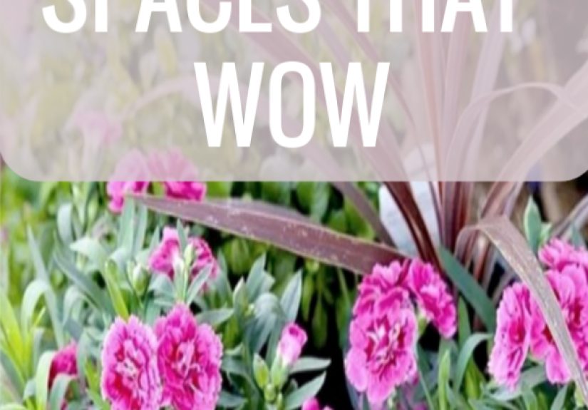 Inspired Through Instagram: Outdoor Spaces that Wow