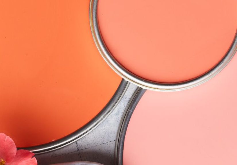 Paint Colors