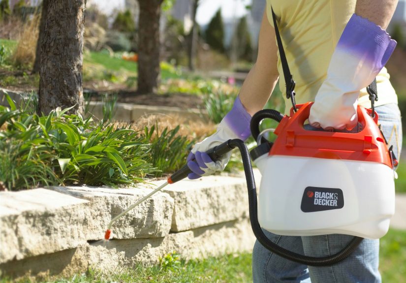 Weed Killers: 5 Things to Know Before You Spray