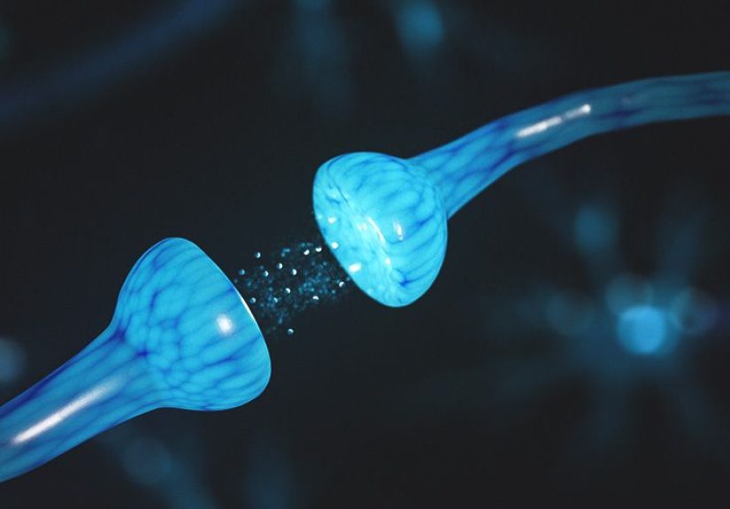 What Are Excitatory Neurotransmitters?