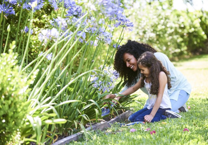 11 Perennial Flowers That Bloom From Spring to Fall
