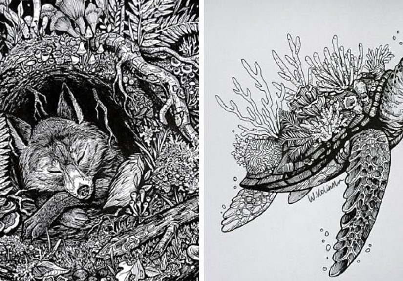 12 Intricate Drawings Of Animals Created By Me