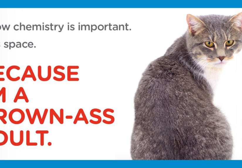 Animal Adoption Center Encourages People To Adopt Adult Pets With 16 Hilarious Posters