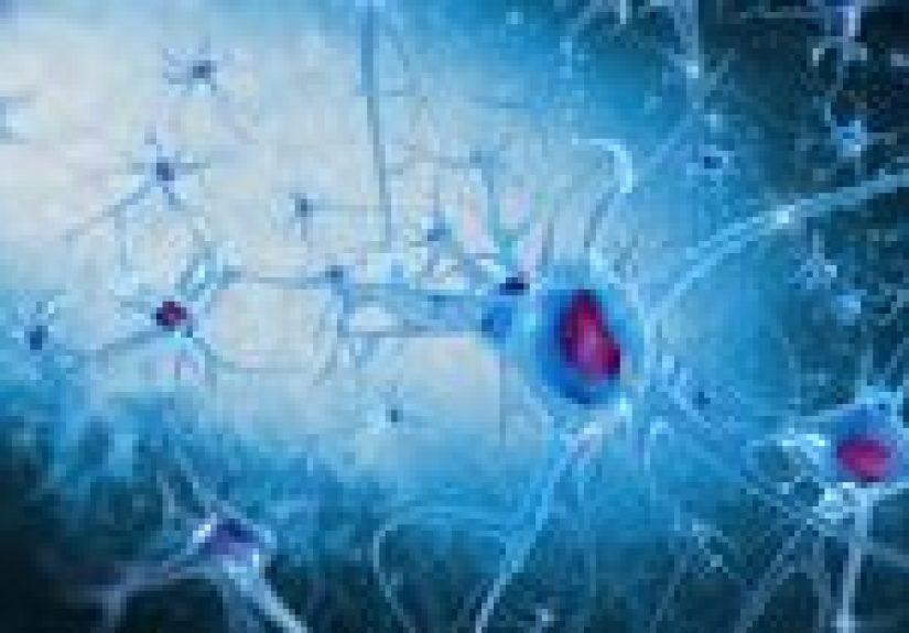 Autism Risk Factors: Genetics and Environment