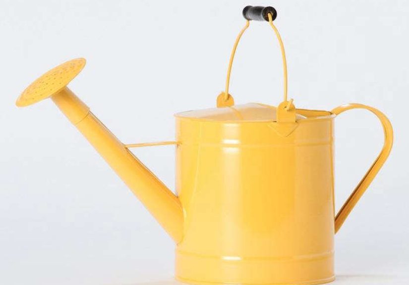 Colorful Garden Tools from Terrain