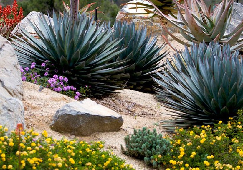 Gardening By Region