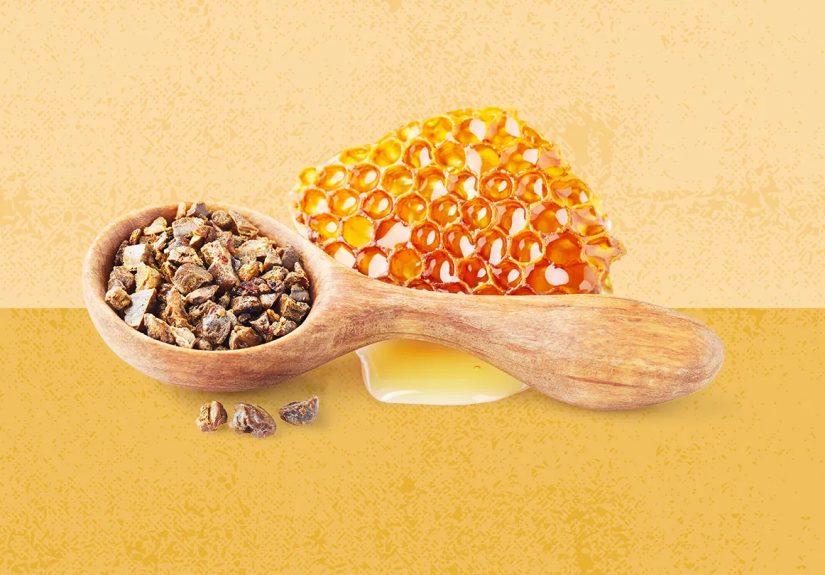Gut Check: Is Bee Propolis Good for Your Gut Microbiome?