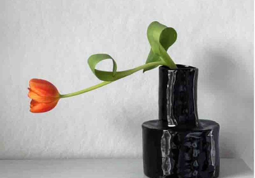 Héléna Marie Deep Black Vase