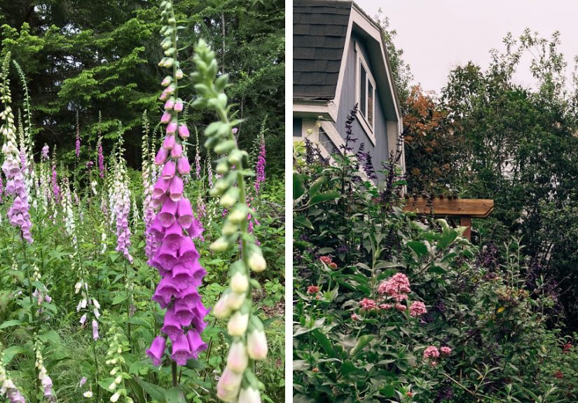 Hey Pandas, April Is A National Garden Month, So Show Us Your Gardens