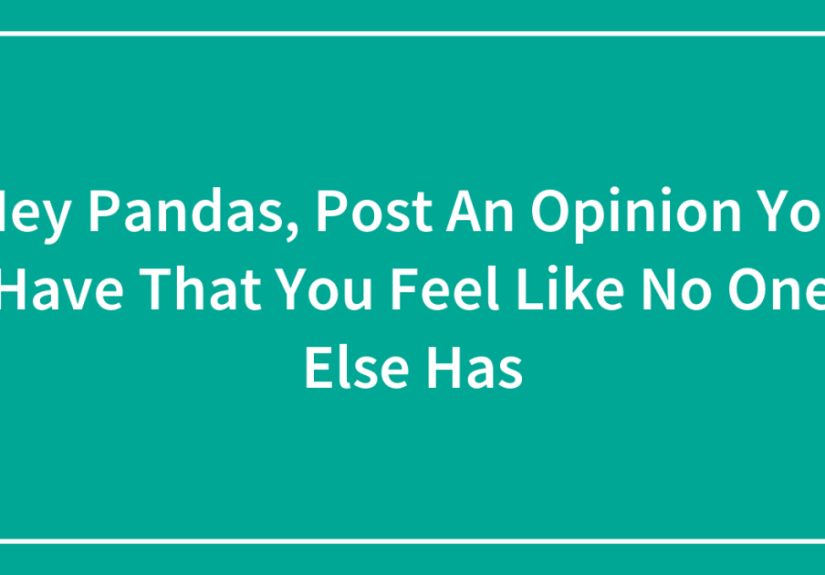 Hey Pandas, Post An Opinion You Have That You Feel Like No One Else Has