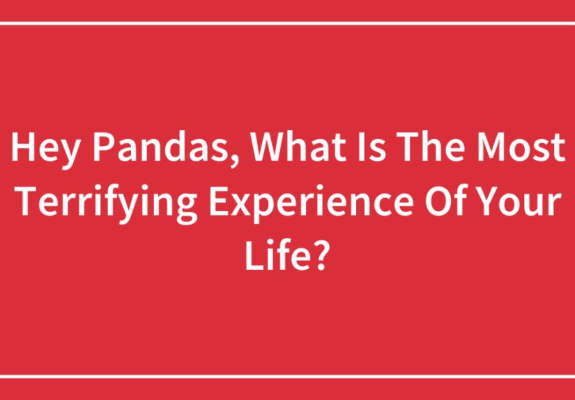 Hey Pandas, What Is The Most Terrifying Experience Of Your Life?
