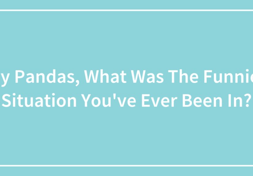 Hey Pandas, What Was The Funniest Situation You’ve Ever Been In?