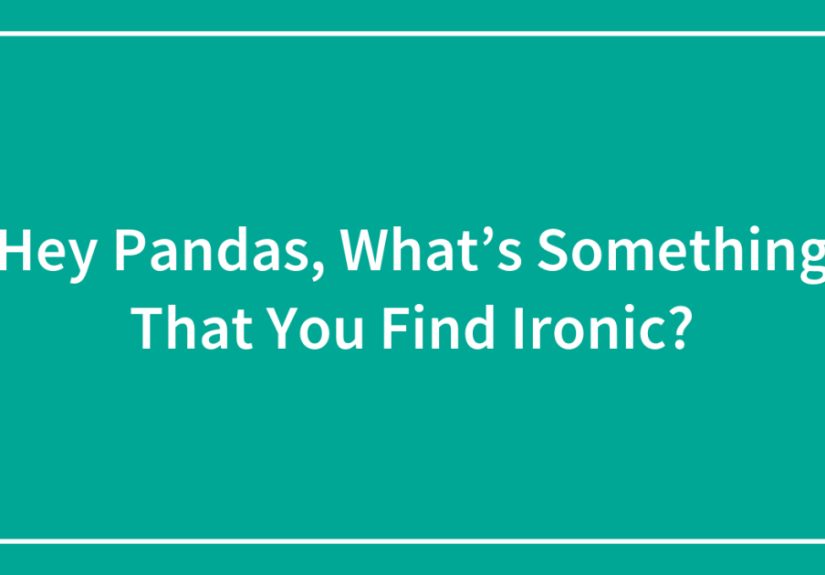 Hey Pandas, What’s Something That You Find Ironic?