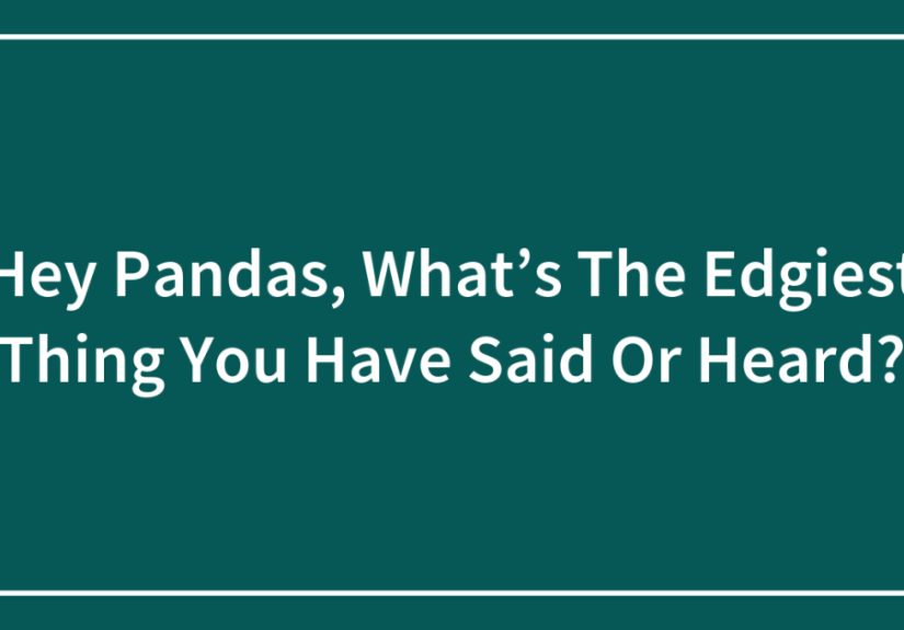 Hey Pandas, What’s The Edgiest Thing You Have Said Or Heard? (Closed)