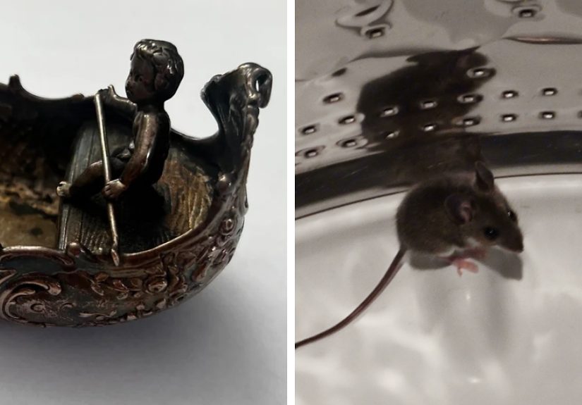 Hey Pandas, What’s The Most Unexpected Thing You’ve Found While Cleaning?