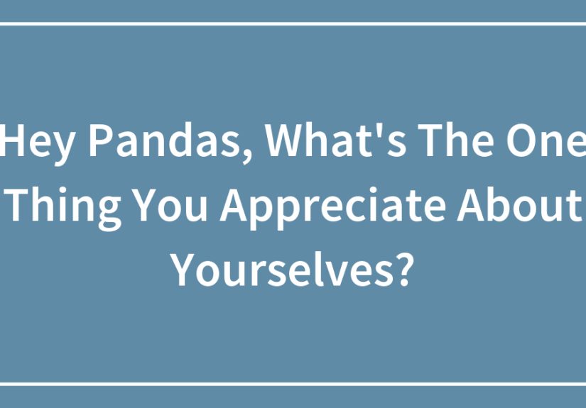 Hey Pandas, What’s The One Thing You Appreciate About Yourselves?