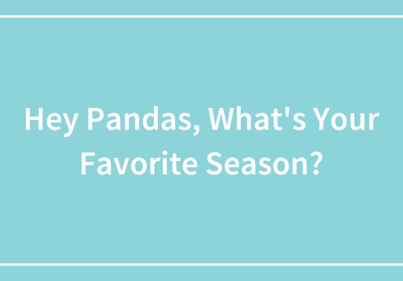 Hey Pandas, What’s Your Favorite Season?