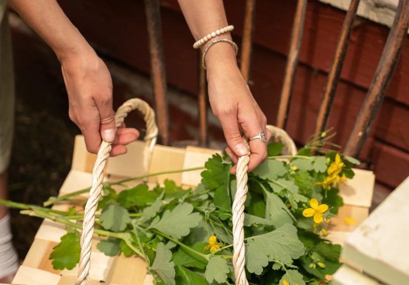 High/Low: Woven Harvest Baskets, Two Ways