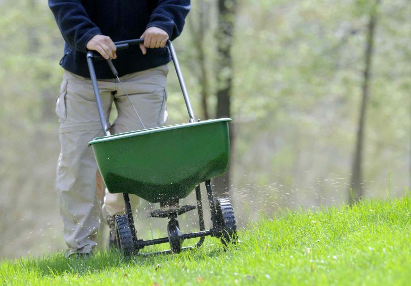 How Often Should Lawn Fertilizer Be Applied?