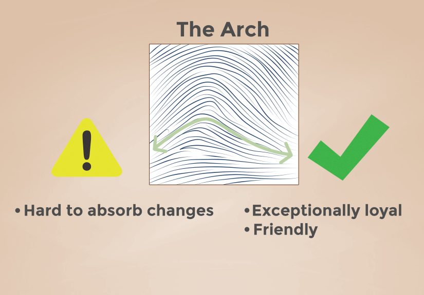 How to Analyze Fingerprints: 12 Steps