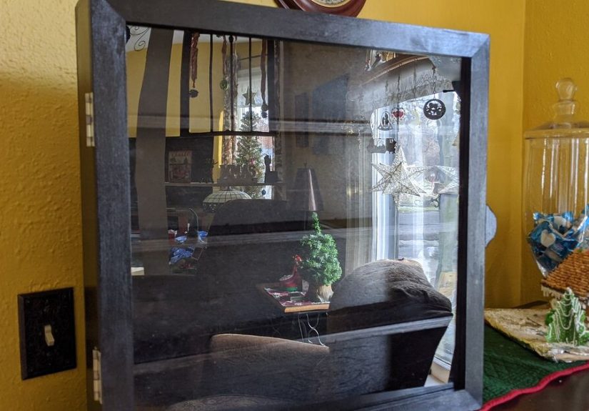 How to Build a Display Case Cabinet That Will Impress Your Guests
