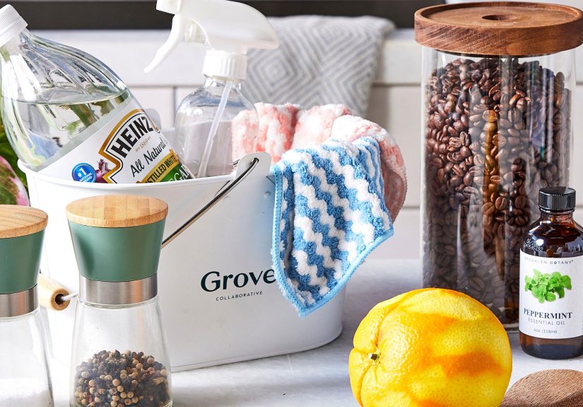 How to Get Rid of Ants in Your Home