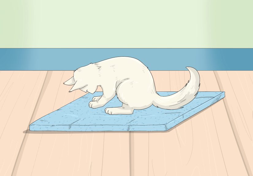 How to Make a Cat Scratching Post: Easy DIY Tips