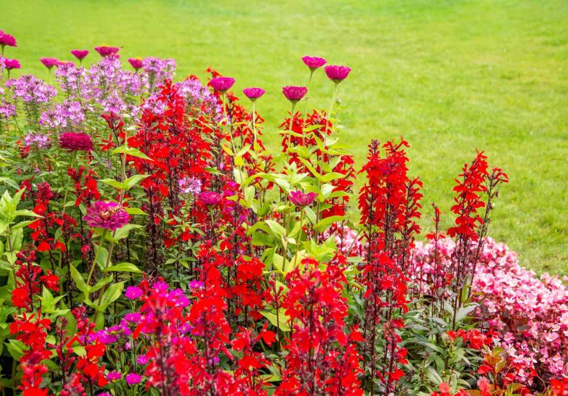 How to Mix Flower Colors for a Gorgeous Garden Every Time, According to Designers