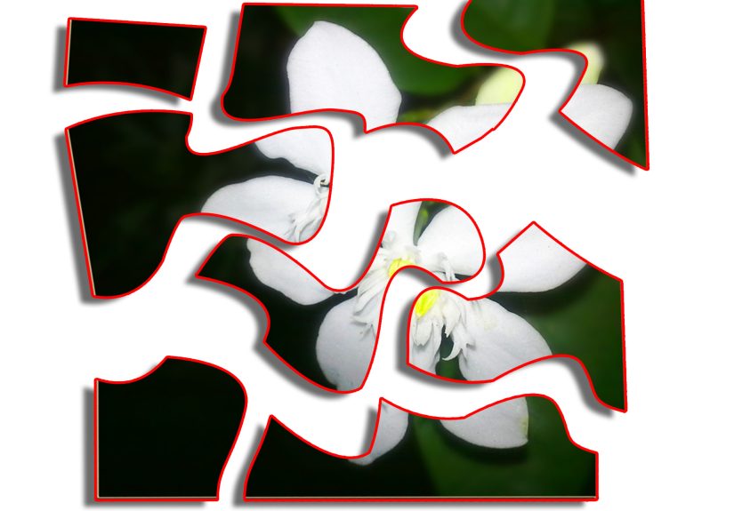 How to Turn a Photo Into a Puzzle: 6 Steps