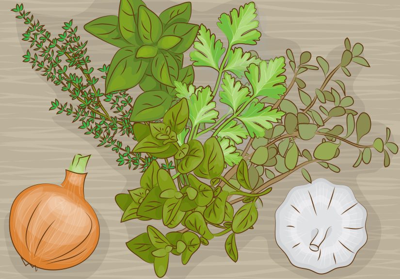 How to Use Oregano in Cooking