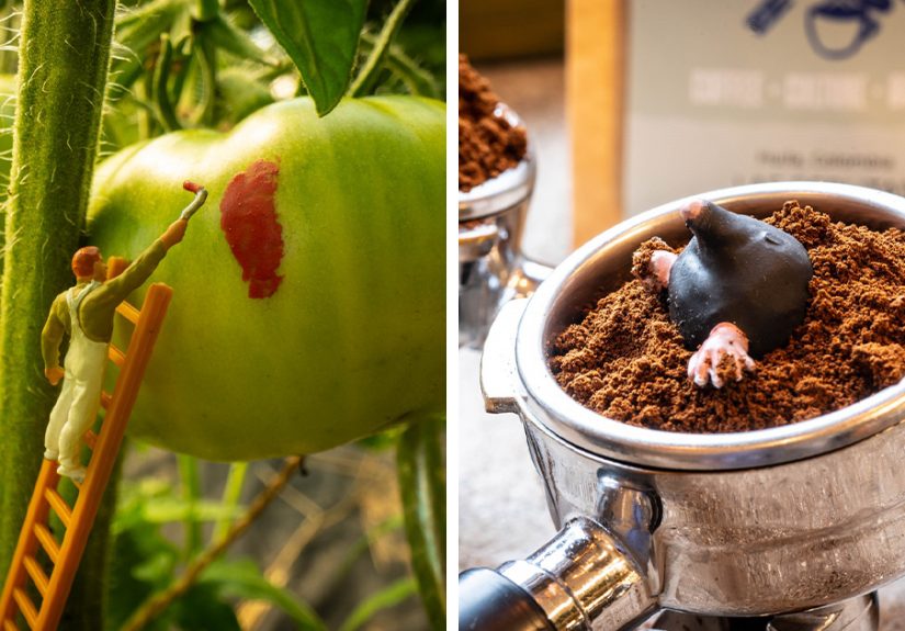 I Spent 6 Years Building Miniature Scenes From Ordinary Things, Here Are 20 Of The Newest Ones