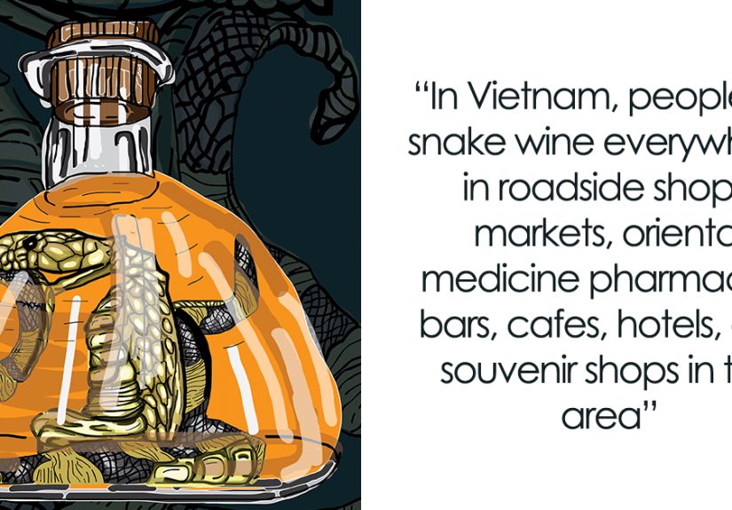 My 6 Illustrations Of Weird And Creepy Vietnamese Food