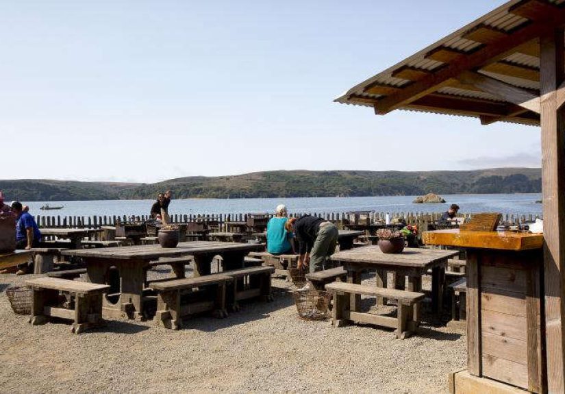 Oysters by the Bay