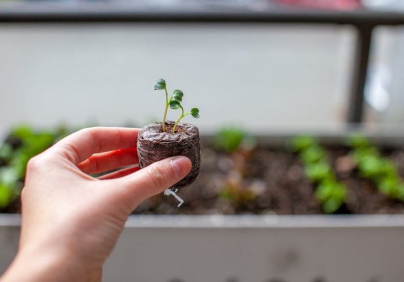 This Organic Gardening Supply Is Stirring Up ControversyShould You Stop Using It? - Bob Vila