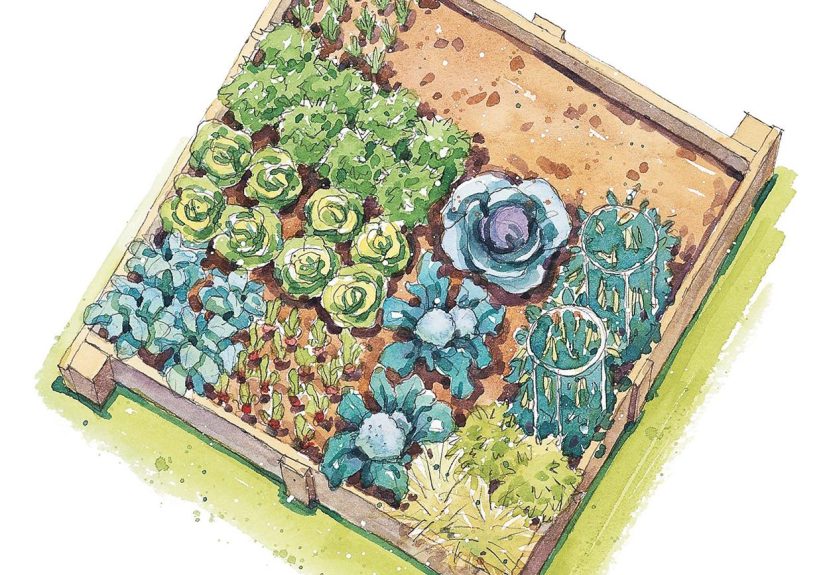 This Spring-Harvest Vegetable Garden Plan Is Perfect for a Small Raised Bed