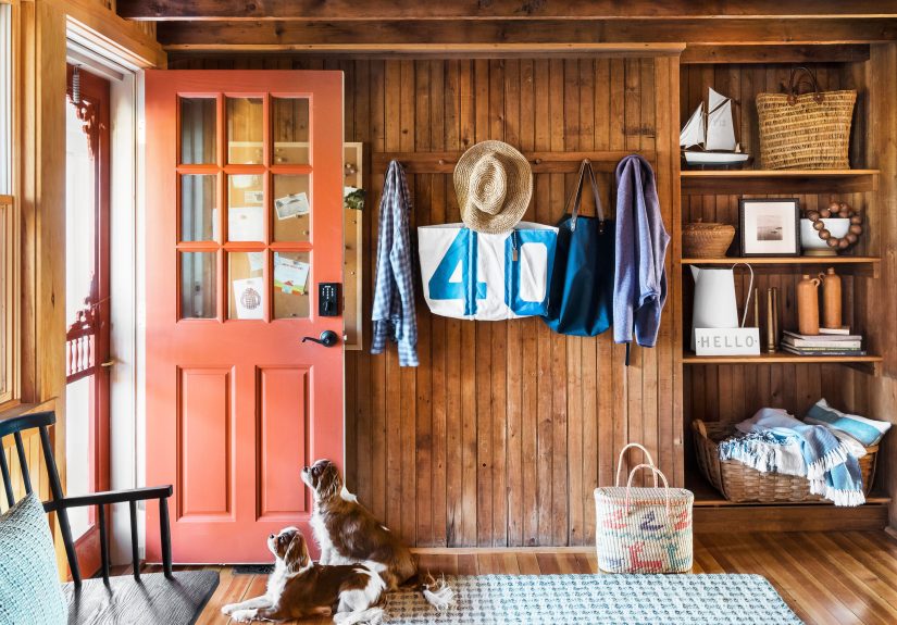 Uncover the Best Home Design Style for You, Inspired by Your Favorite Dog Breed