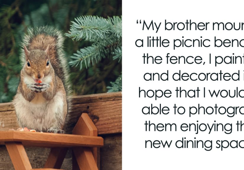 Watching Squirrels In My Garden Became A Morning Ritual During Lockdown, Here Are 15 Photos That I Took